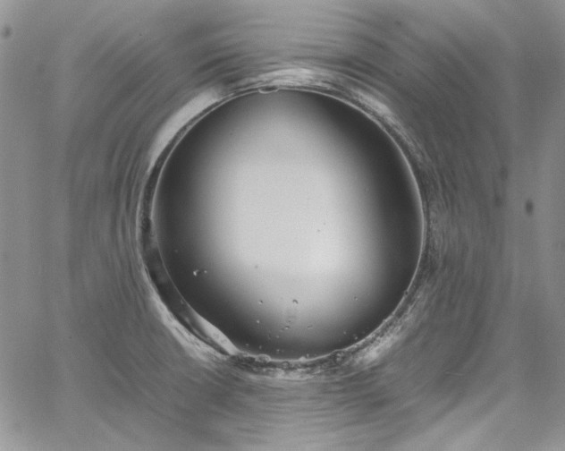 X0000067951426200604201420