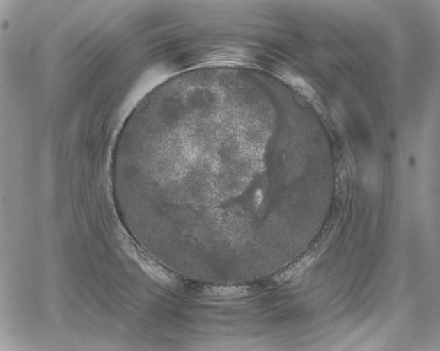 X0000067951427200604201420