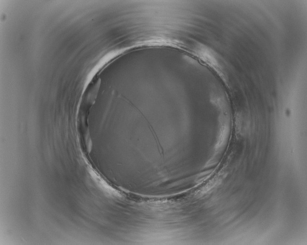 X0000067951428200604201420