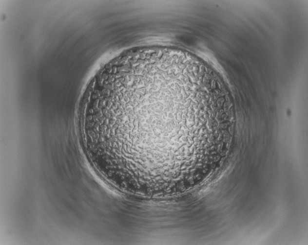 X0000067951429200604201420