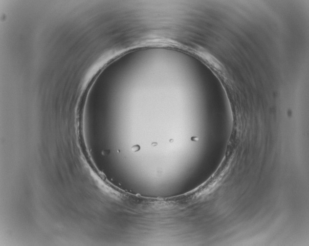 X0000067951430200604201420