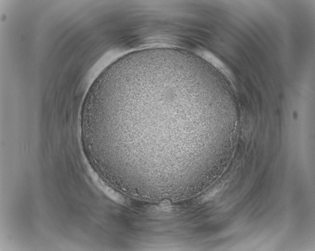 X0000067951431200604201420