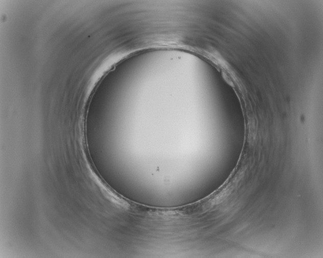 X0000067951432200604201420