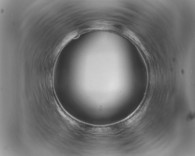 X0000067951433200604201420