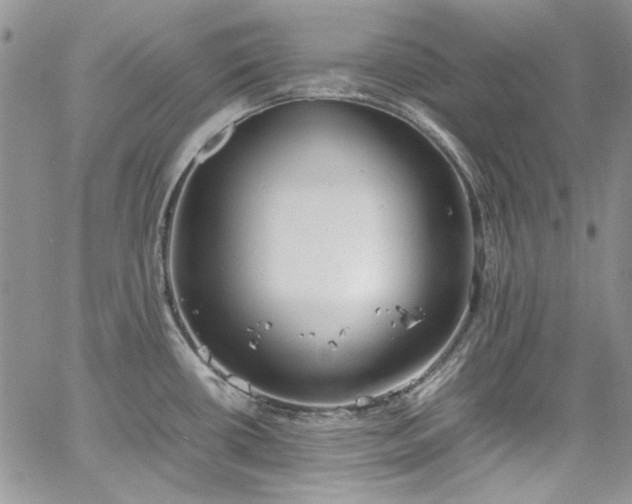 X0000067951434200604201420