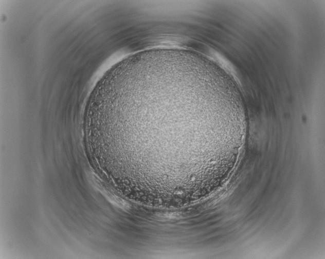 X0000067951435200604201420