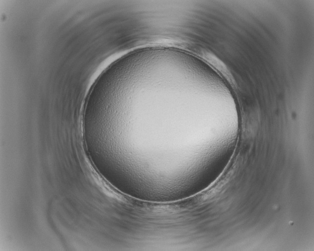 X0000067951436200604201420