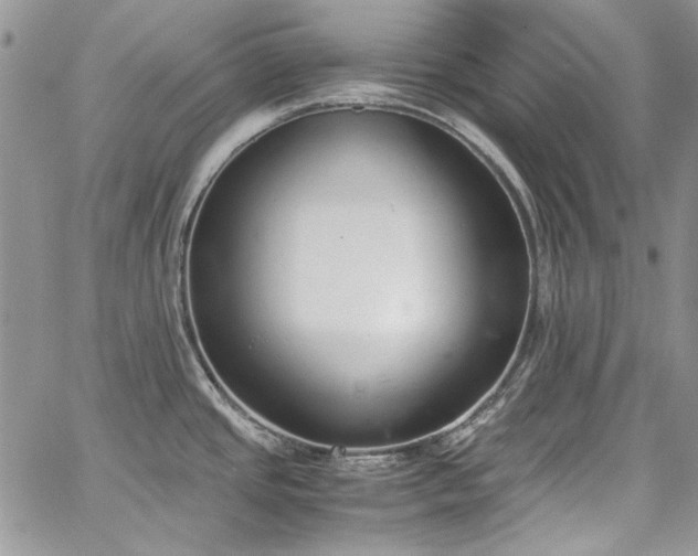 X0000067951437200604201420