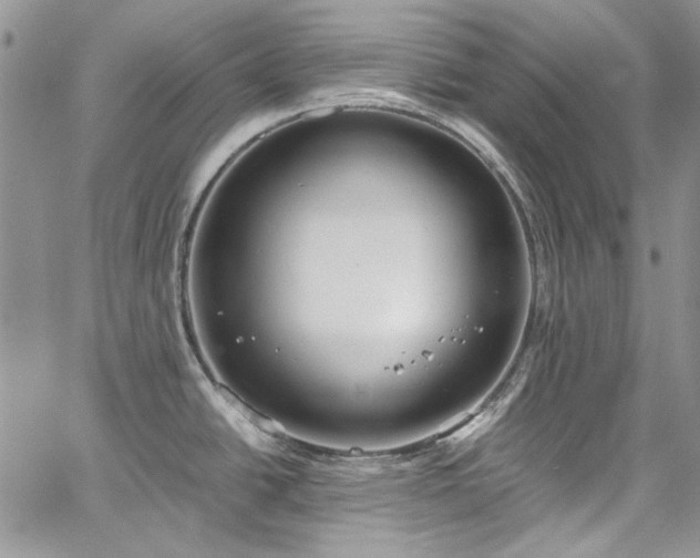 X0000067951438200604201420