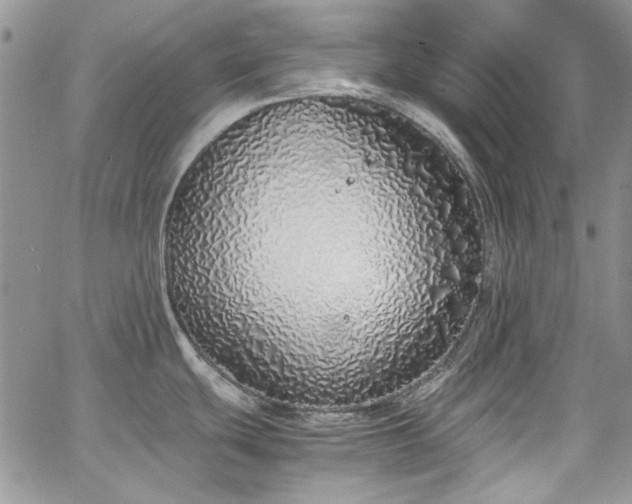 X0000067951439200604201420