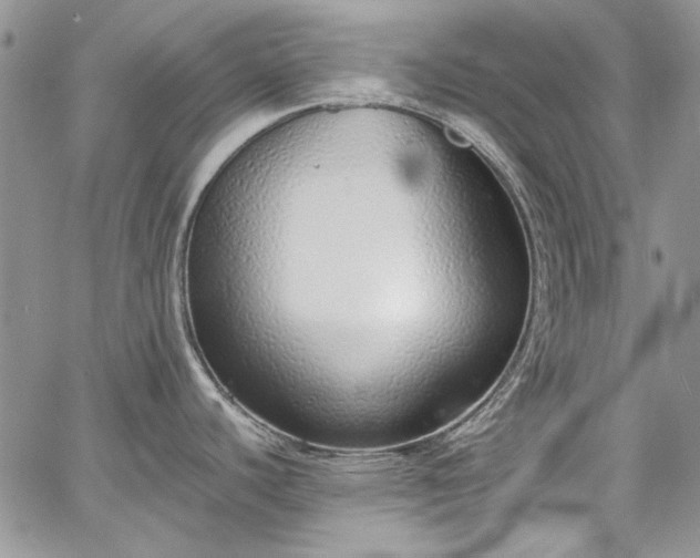 X0000067951440200604201420