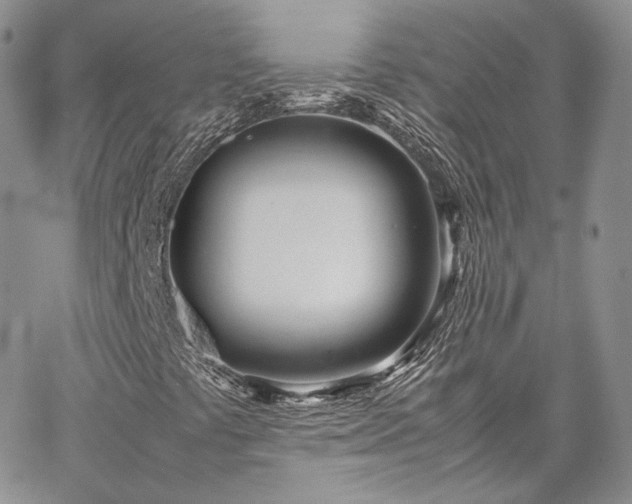 X0000067951441200604201419