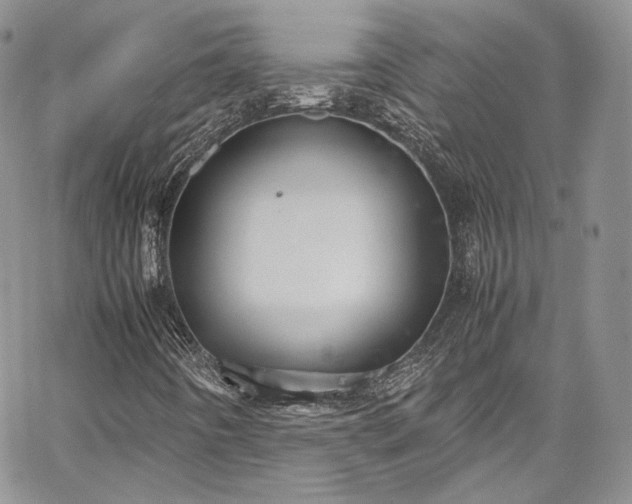 X0000067951442200604201419