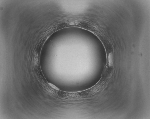 X0000067951443200604201419