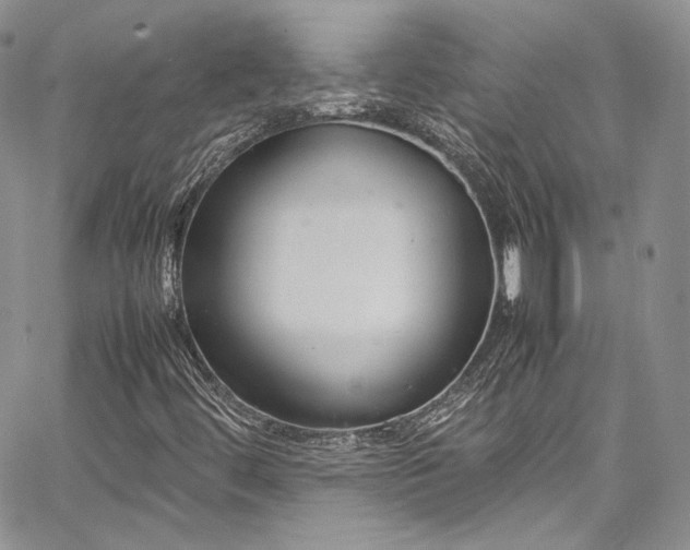 X0000067951444200604201419