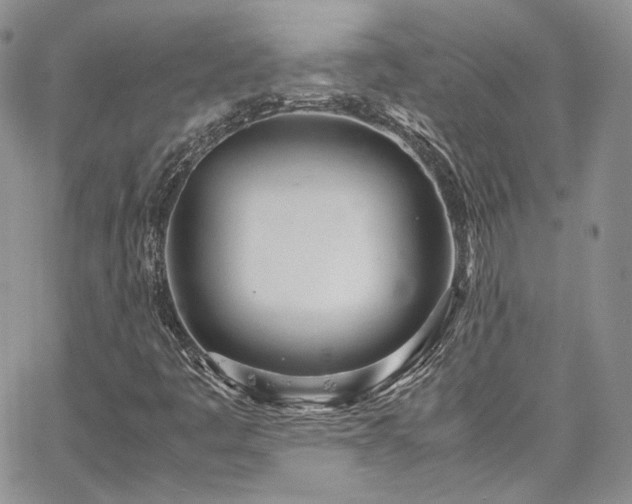 X0000067951445200604201419