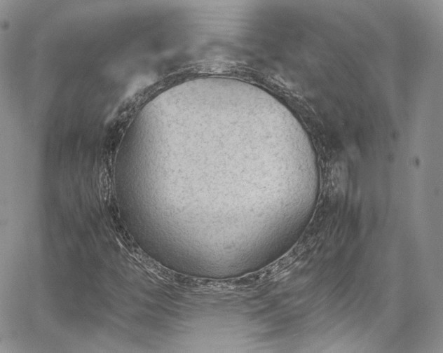 X0000067951446200604201419