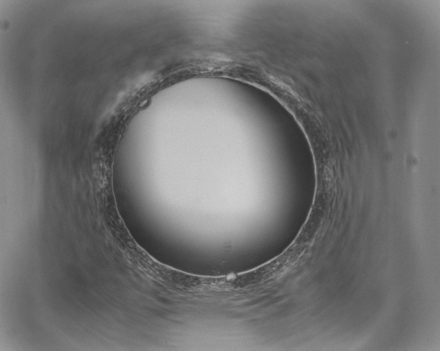 X0000067951447200604201419