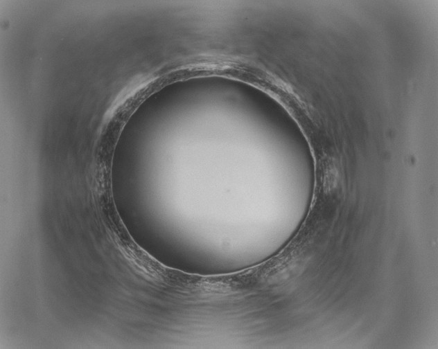 X0000067951448200604201419