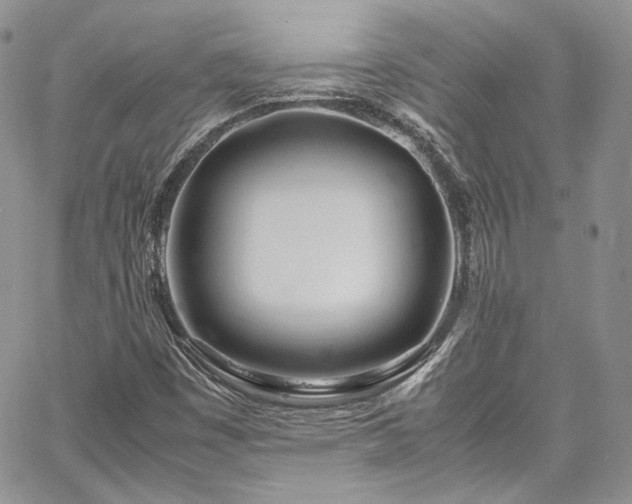 X0000067951449200604201419