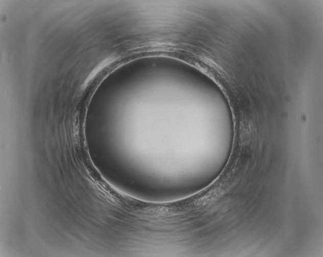 X0000067951450200604201419