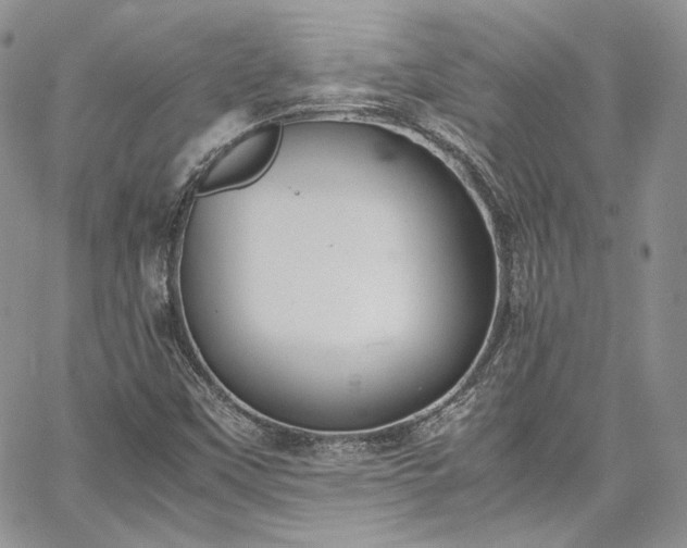 X0000067951451200604201419