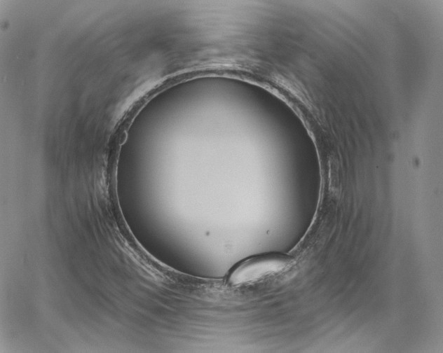 X0000067951452200604201419