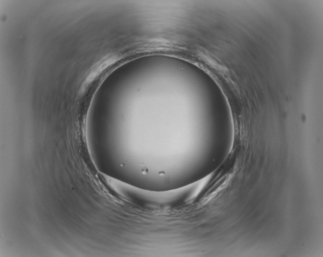 X0000067951453200604201419