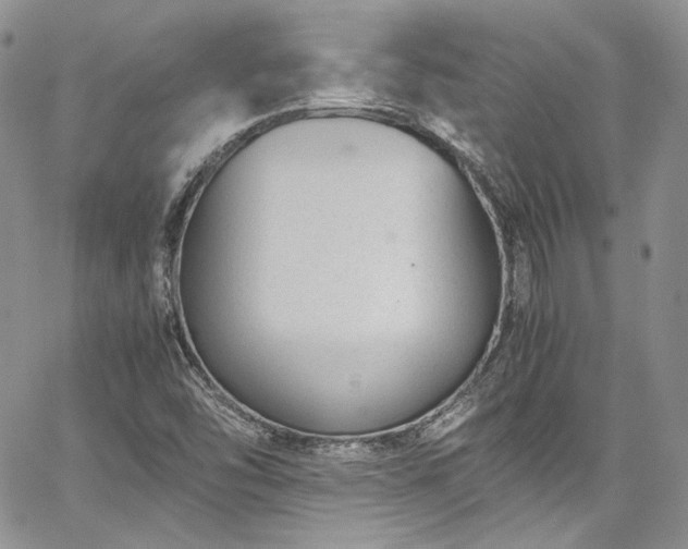 X0000067951454200604201419