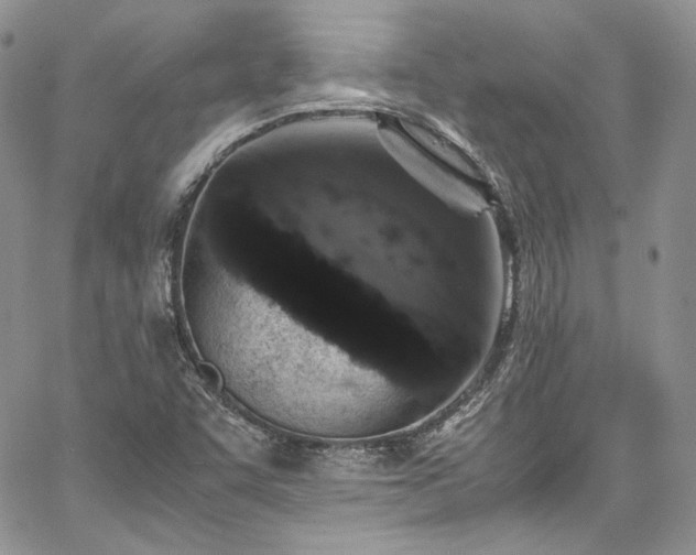 X0000067951455200604201419