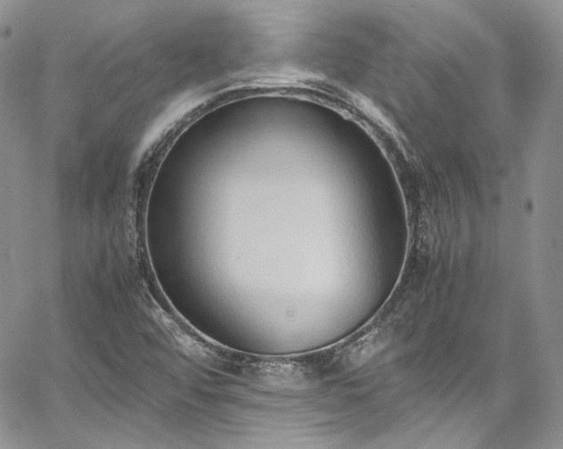 X0000067951456200604201419