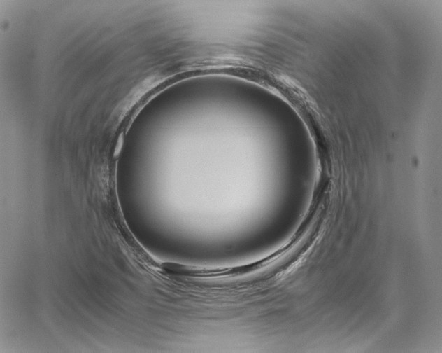 X0000067951457200604201419