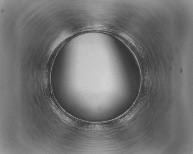 X0000067951458200604201419