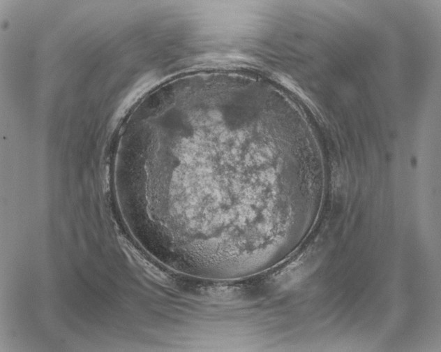 X0000067951459200604201419