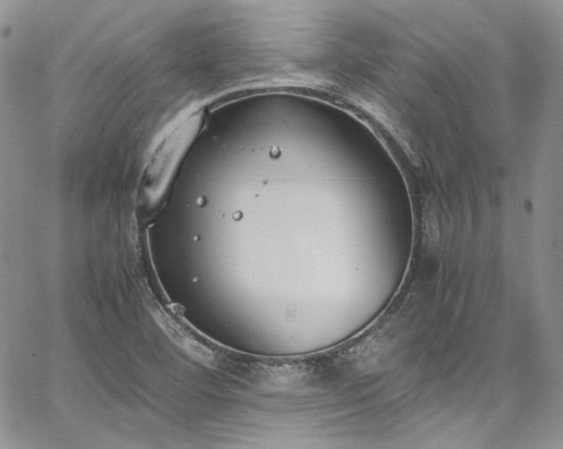 X0000067951460200604201419