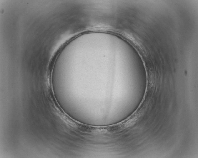 X0000067951462200604201419