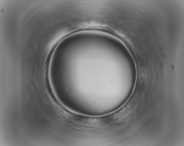 X0000067951463200604201419