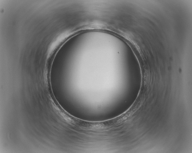 X0000067951464200604201419