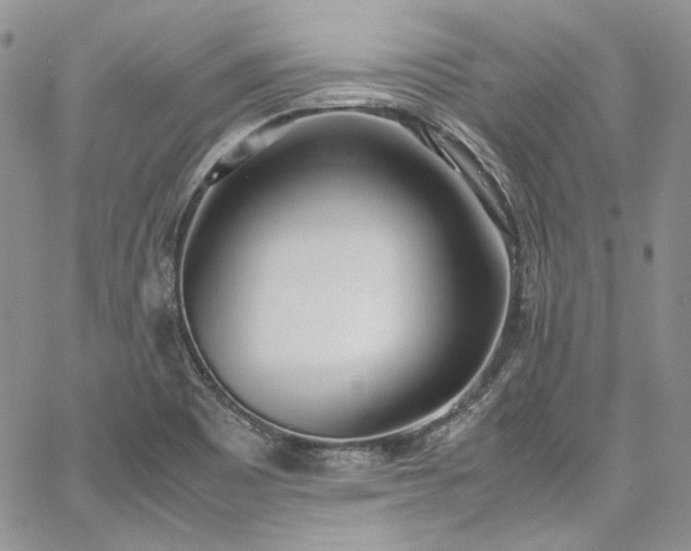 X0000067951465200604201419