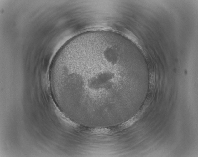 X0000067951466200604201419