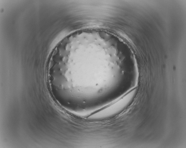 X0000067951467200604201419