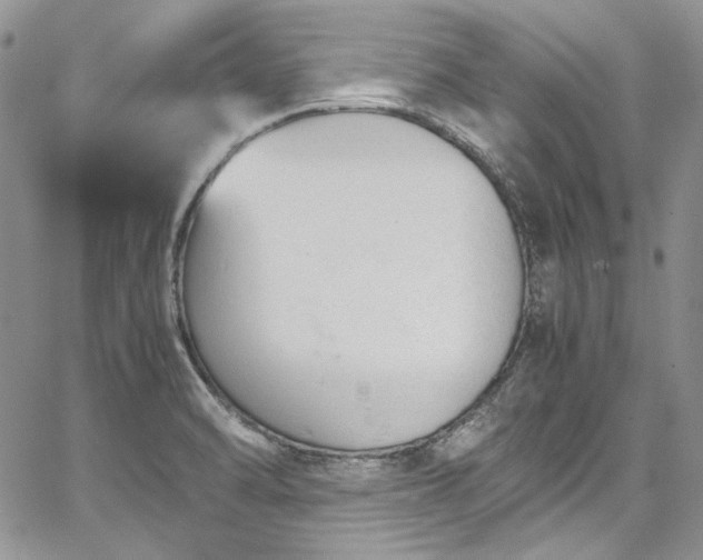 X0000067951470200604201419