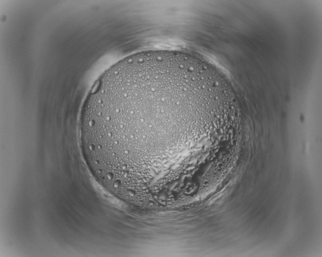 X0000067951471200604201418