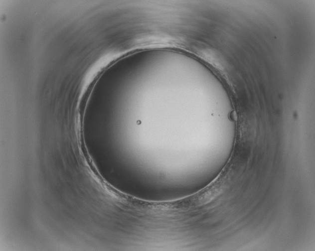 X0000067951472200604201418