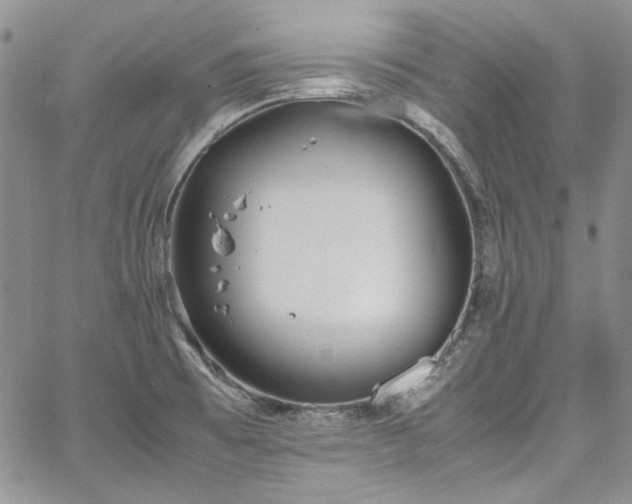 X0000067951473200604201418