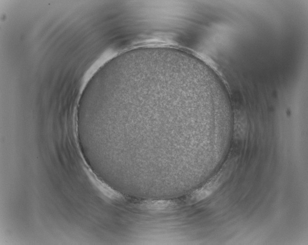 X0000067951474200604201418