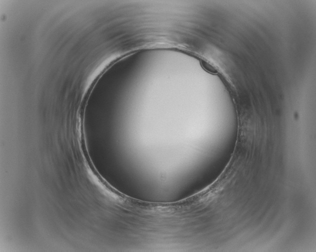 X0000067951476200604201418