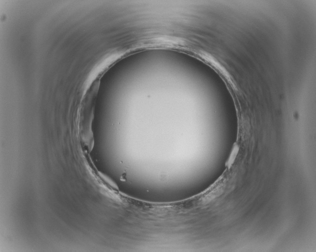 X0000067951477200604201418