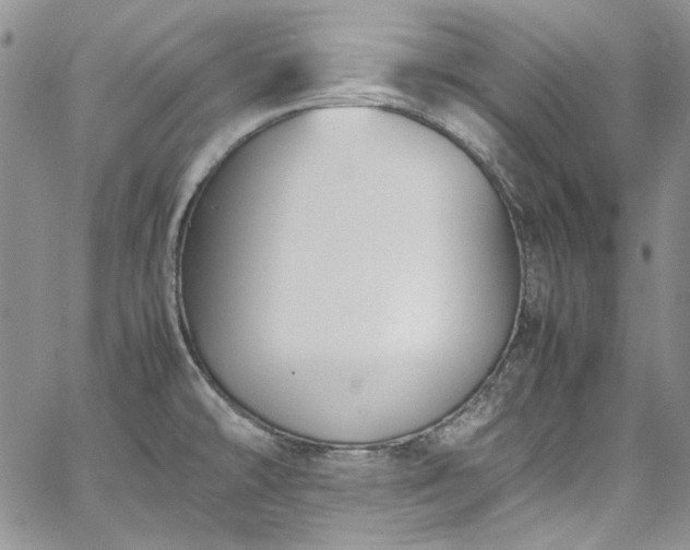 X0000067951478200604201418