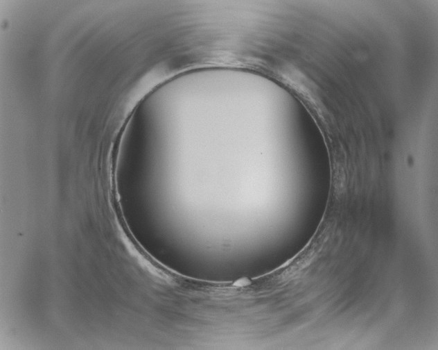 X0000067951479200604201418